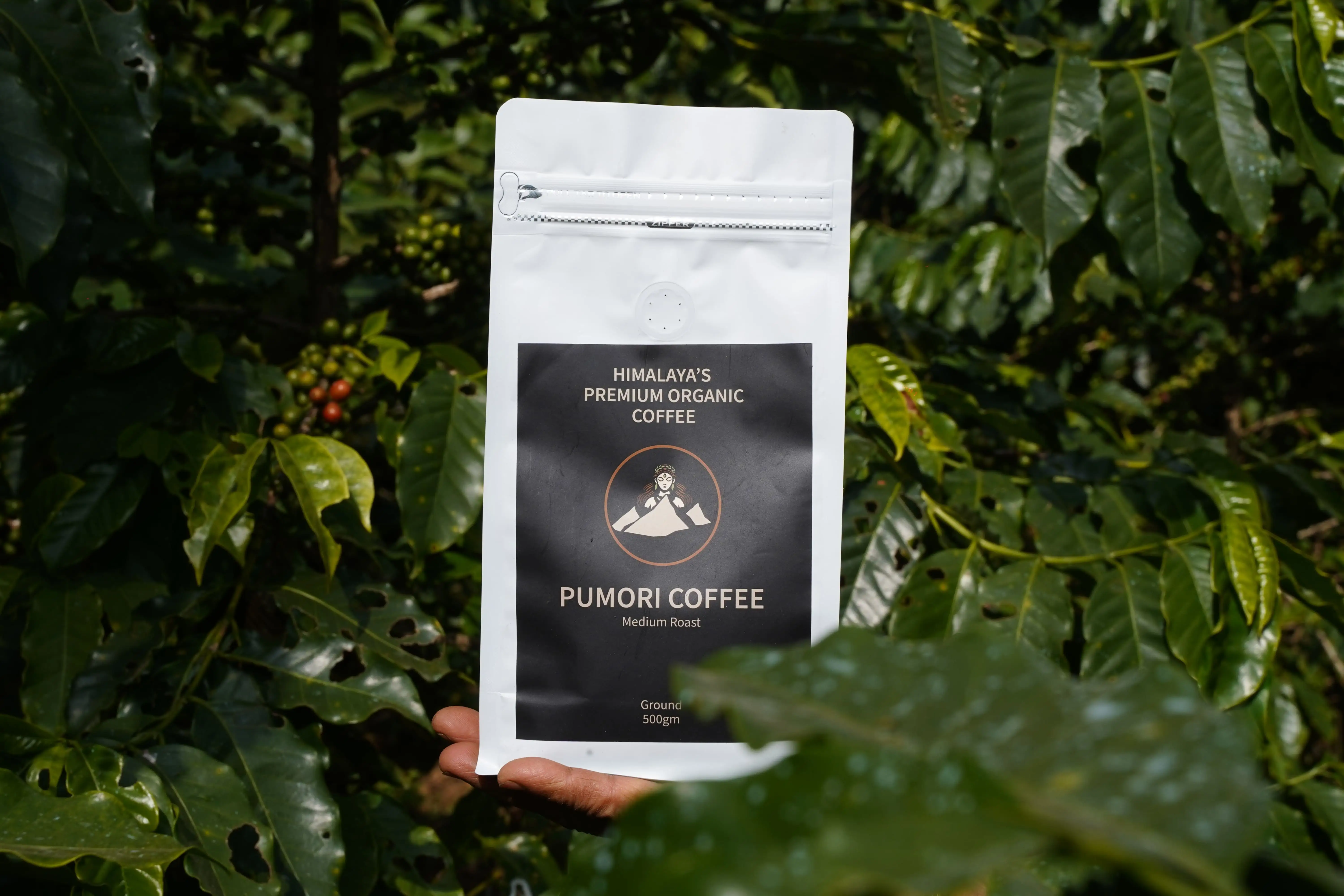 Premium Coffee Product 1